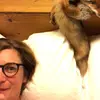 Daniela Meler - @danielameler - TikTok
