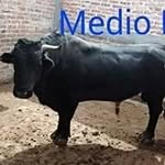 Daniel Melecio - @melesiodaniel1 - Instagram