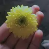 ♥️ - @melissa.daniel.com570 - TikTok