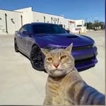 Даниель Мелконян - @daniel.melkonian - Instagram