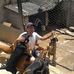 Daniel Mello - Facebook