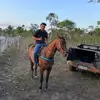 Daniel Mello - @daniel.mello80 - TikTok