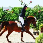 Daniel Mello Gobbo - @danielhipismo - Instagram
