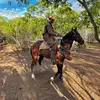 danielmello_19 - @danielmello_19 - TikTok