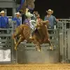 Daniel Mendell - @daniel.mendell - TikTok