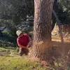 Daniel Mendiola - @daniel_men5 - TikTok