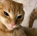 Daniel Mendiola - Facebook