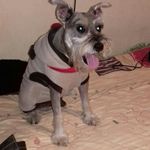 DANIEL MENDIZABAL - @mendizabal2004 - Instagram