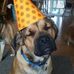 Daniel Menefee - Facebook