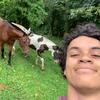 daniel - @daniel_mercedes - TikTok