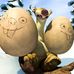 Daniel Merkle - Facebook
