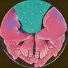 Daniel Merkley - @daniel.merkley - TikTok