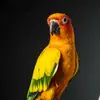 danielmerrick355 - @danielmerrick355 - TikTok