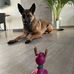 Daniel Merten - Facebook