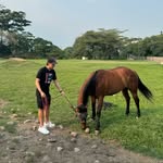 Santiago Mesa - @danielmesa03 - Instagram