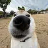 Daniel - @daniel.miauw - TikTok