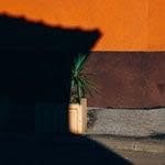 Jonathandaniel - @danielmiaw1 - Instagram