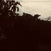 Eduardo - @danielmiceli1 - TikTok
