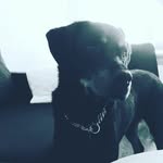 daniel.michaelsen - @daniel.michaelsen - Instagram