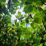Daniel Michaelson - @nadanture - Instagram
