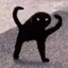 Daniel Michal - @danielmichal - TikTok