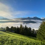 Daniel Michalik - @daniel_michalik_1980 - Instagram