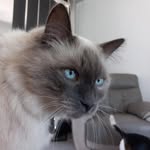 Daniel Michèle - @daniel_michele_ - Instagram