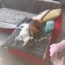 Daniëlla Michiels - Facebook