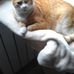 Daniel Michot - Facebook