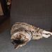 Daniel Mick - Facebook
