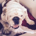 Daniel Mickle - @adniel1 - Instagram
