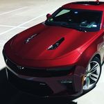 Daniel Middlebrook - @alphacamaro - Instagram