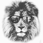 Daniel Middlestadt - @jakepauler1021 - Instagram