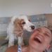 Danielle Midgley - Facebook