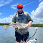 Daniel Miehle - @danmiehle - Instagram