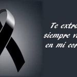 Daniel Mieses - @daniel.mieses.980 - Instagram