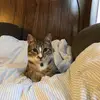daniel.migliore - @daniel.migliore - TikTok