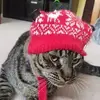 Dan Mignogna - @daniel.mignogna - TikTok