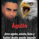 Daniel Miguez - @miguez.daniel - Instagram