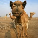 Constantin Daniel Mihailescu - @constantindanielmihailescu - Instagram
