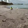 Daniel Mihăilescu - @daniel.mihilescu - TikTok