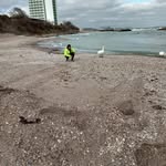 Daniel Mihăilescu - @mihailescu863 - Instagram