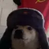 Даник - @danielmikhailov06 - TikTok