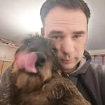 Dániel Mikó - @danielmiko03 - Instagram