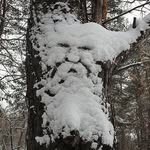Daniel Mikula - @raininthewind_photos - Instagram