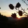 Daniel Mikuláš - @d_mikulas - TikTok