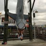 Daniel Milam - @daniel_milam0311 - Instagram