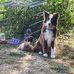 Danny Milburn - Facebook