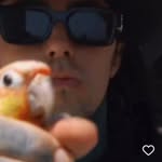 Peanut - @danielmildenberger - Instagram