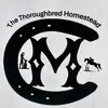 Danielle Milhoan - @thoroughbredhomestead - TikTok
